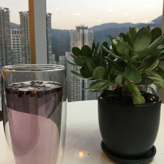 【女士凍齡恩物 養生黑杞子】